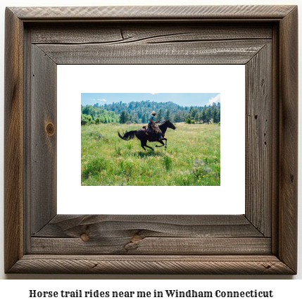 horse trail rides near me in Windham, Connecticut